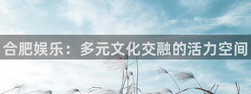万事娱乐登录：合肥娱乐：多元文化交融的活力空间