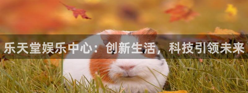 万事娱乐：乐天堂娱乐中心：创新生活，科技引领未来