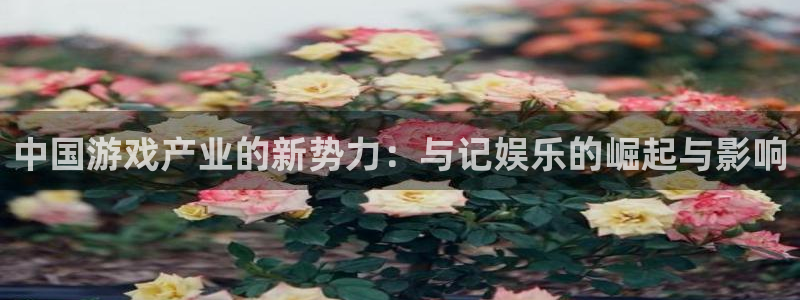 万事娱乐登录：中国游戏产业的新势力：与记娱乐的崛起与影响