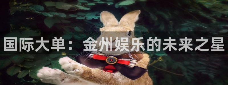 万事娱乐：国际大单：金州娱乐的未来之星