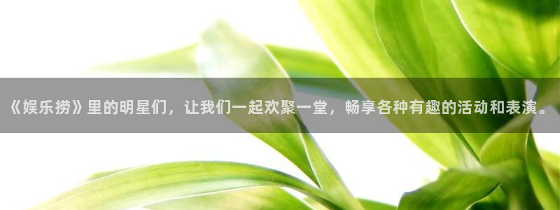 万事娱乐：《娱乐捞》里的明星们，让我们一起欢聚一堂，畅享各种有趣的活动和表演。