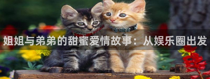万事娱乐登录：姐姐与弟弟的甜蜜爱情故事：从娱乐圈出发