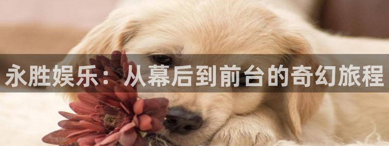 万事娱乐登录：永胜娱乐：从幕后到前台的奇幻旅程