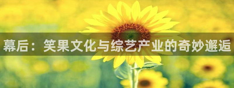 万事娱乐登录地址：幕后：笑果文化与综艺产业的奇妙邂逅