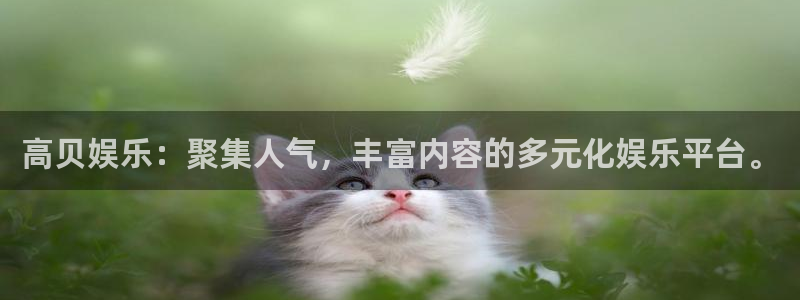 upload/20250701114914.jpg